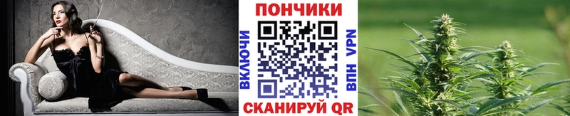 Магазины продажи наркотиков Александровск СК  Кокаин  Меф  Гашиш 