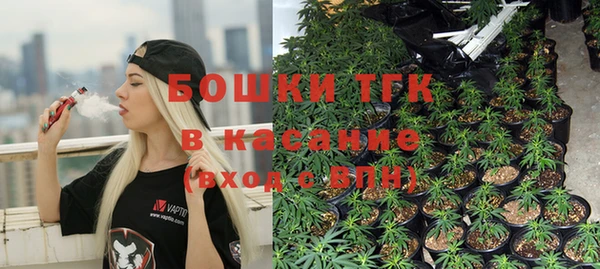 стаф Абинск