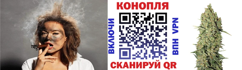 Конопля SATIVA & INDICA  hydra ССЫЛКА  Александровск 
